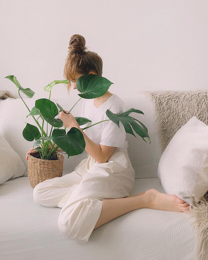 10 plants that don’t need watering – inspiration for lazy and busy people