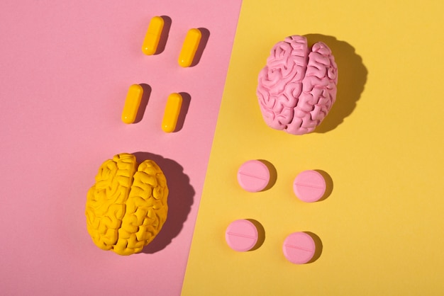 Exploring the Benefits and Uses of Nootropics for Cognitive Enhancement